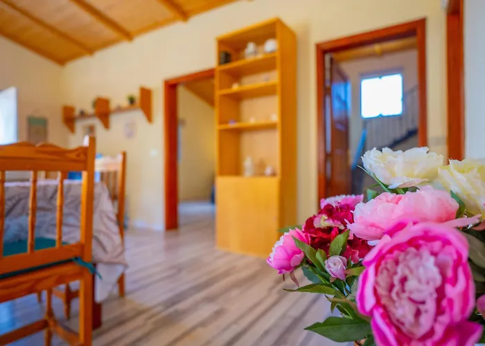 Buda Terra * Santa Cruz de Tenerife