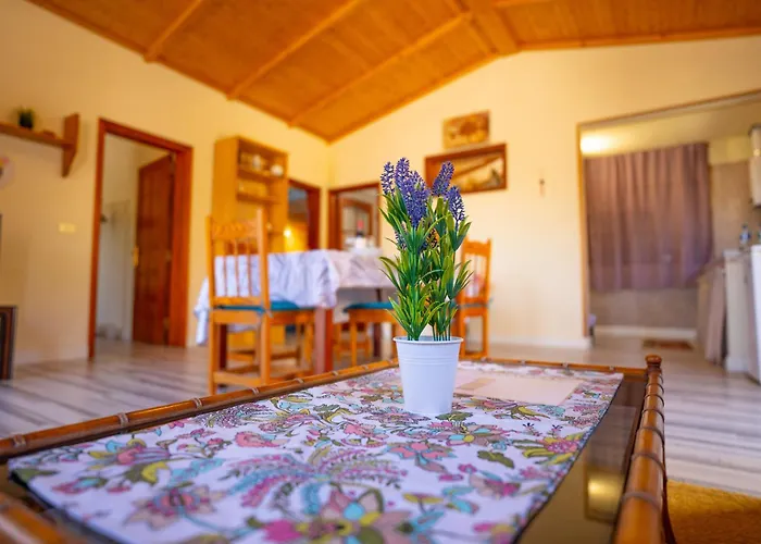 Buda Terra Nyaraló Santa Cruz de Tenerife