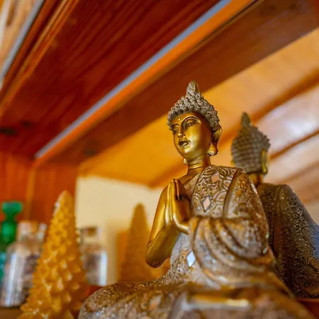 Buda Terra * سانتا كروز دي تينيريف