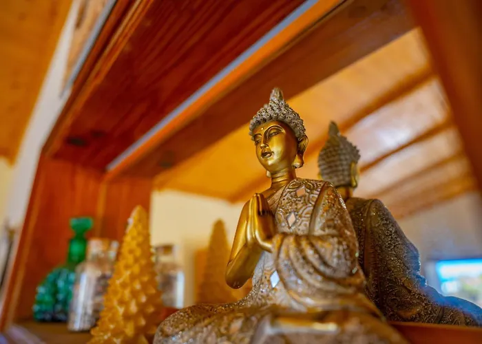 Buda Terra * Santa-Cruz de Ténérife