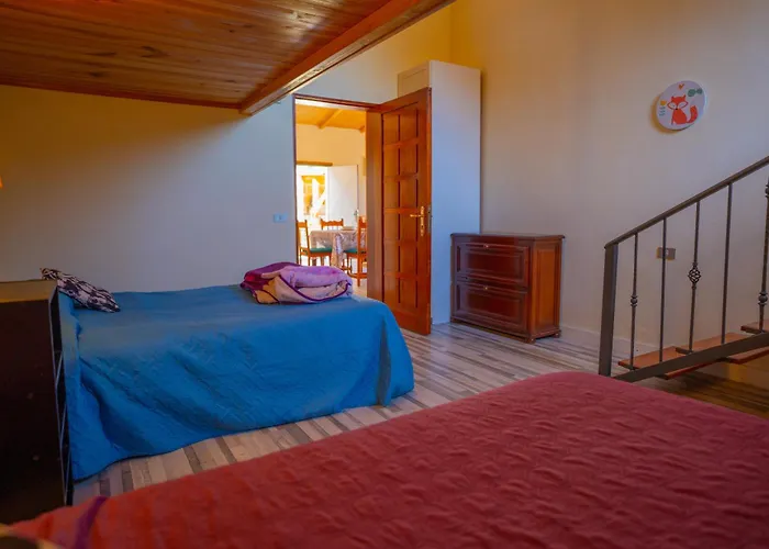 Buda Terra Santa-Cruz de Ténérife