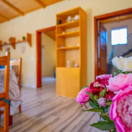 Buda Terra * Santa Cruz de Tenerife